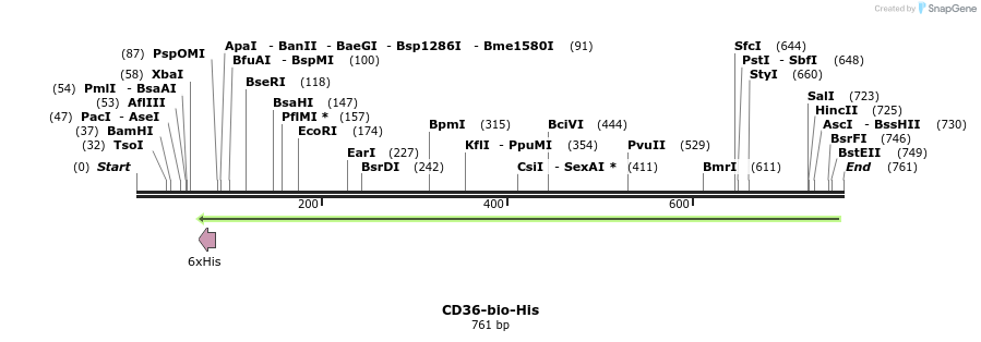 94785_map
