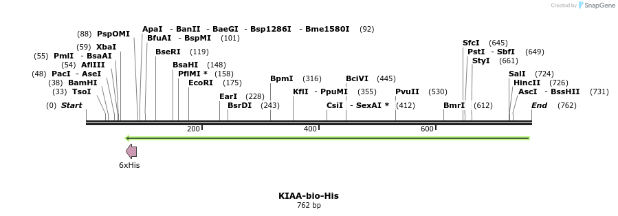 94789_map