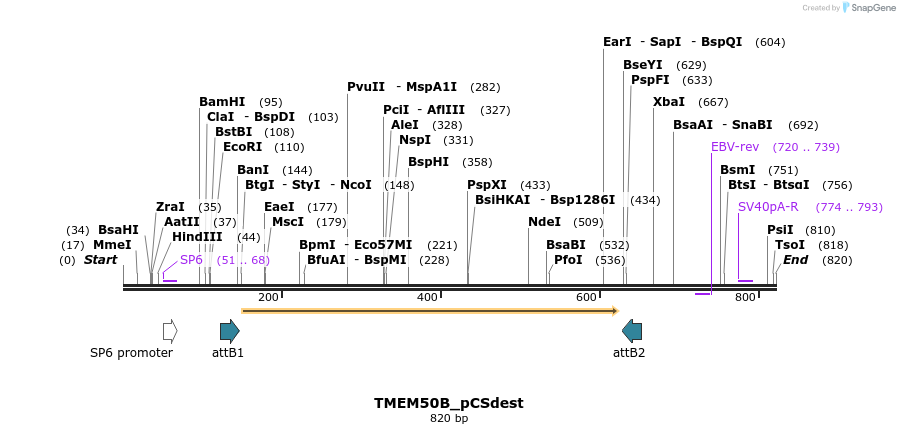 94797_map