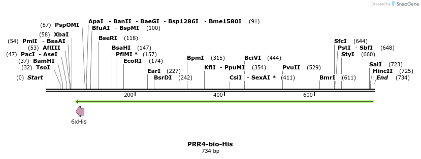94802_map