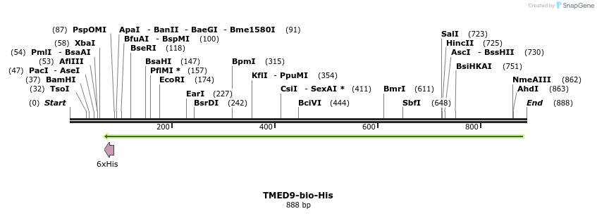 94804_map