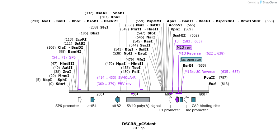 94806_map