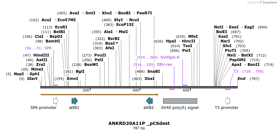 94807_map