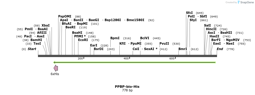 94810_map