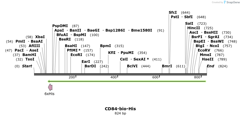 94811_map