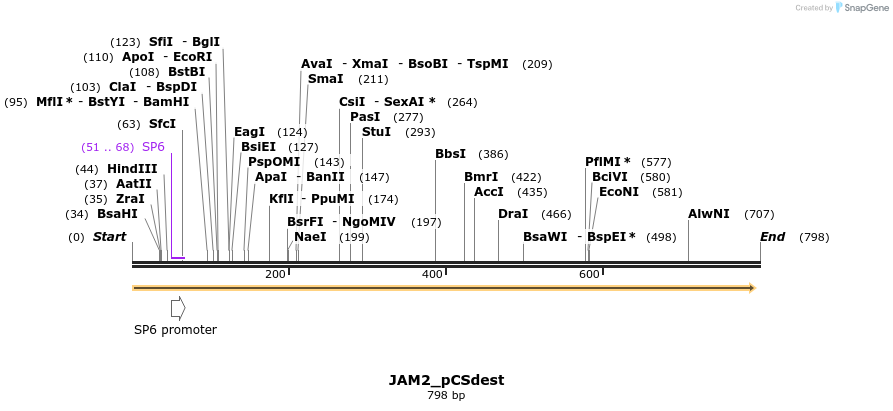 94813_map