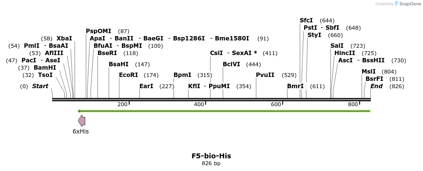 94816_map
