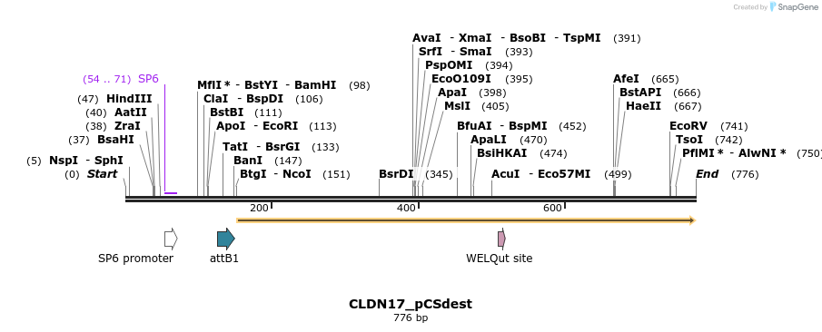 94817_map