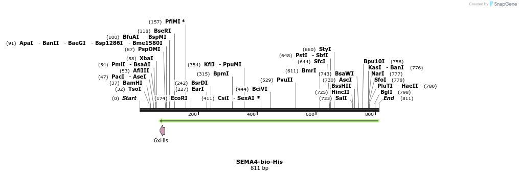 94818_map