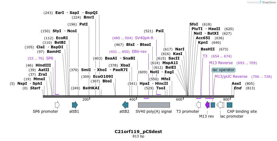 94819_map