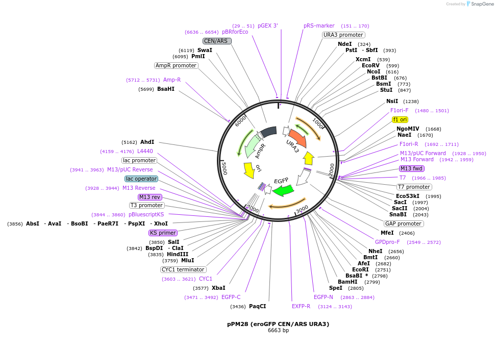 9482_map