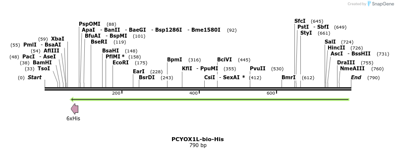 94820_map