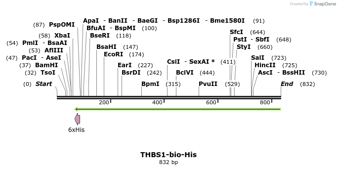94822_map
