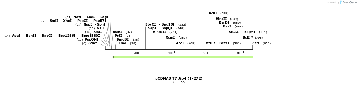 94839_map