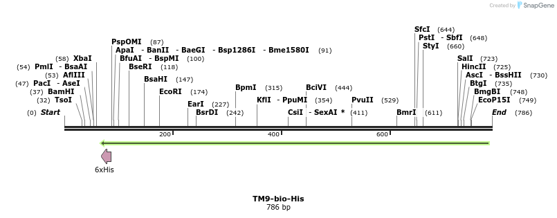 94840_map