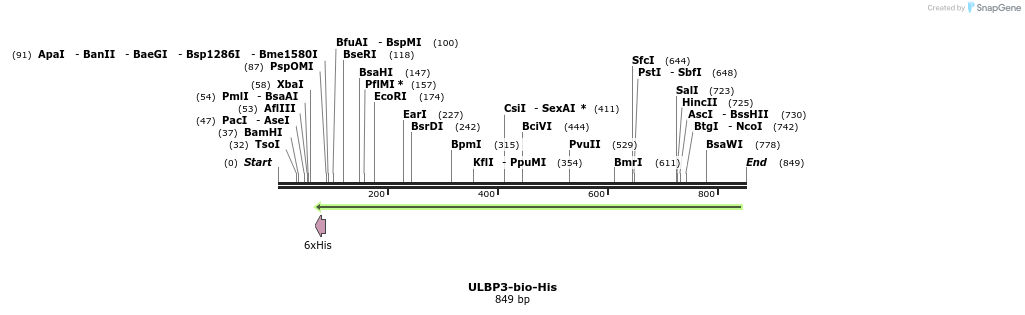 94842_map