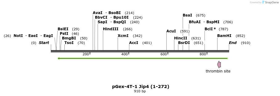 94843_map