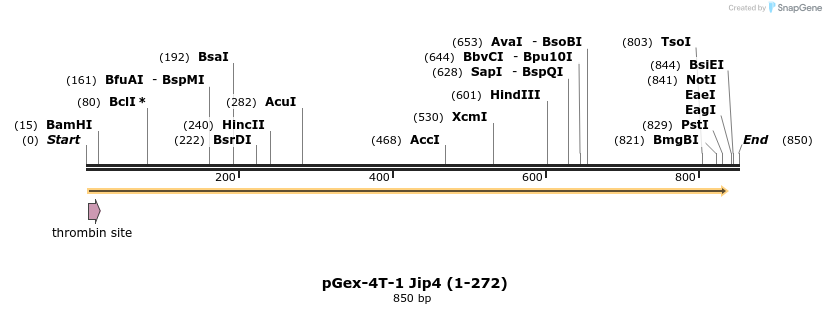 94845_map