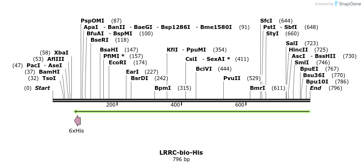 94846_map