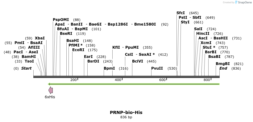 94851_map