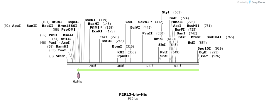 94853_map
