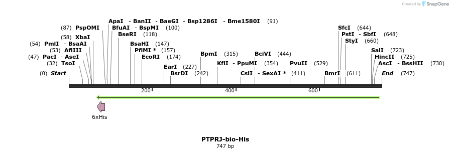 94856_map