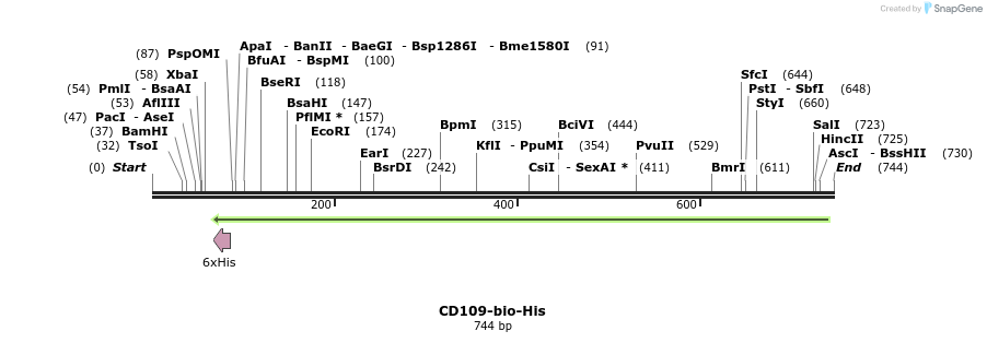 94858_map