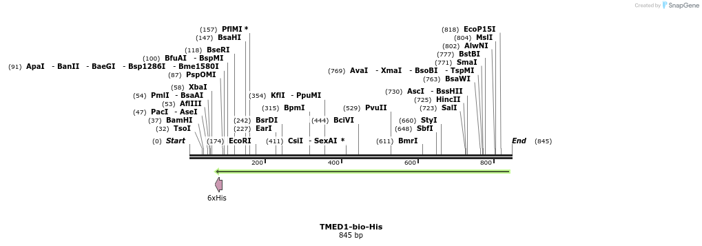 94861_map