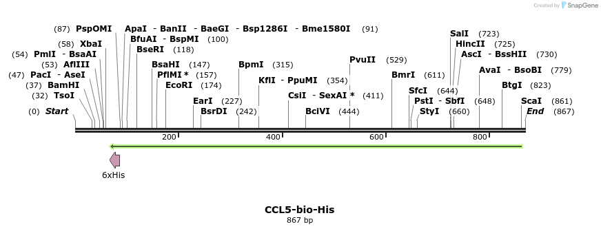 94862_map