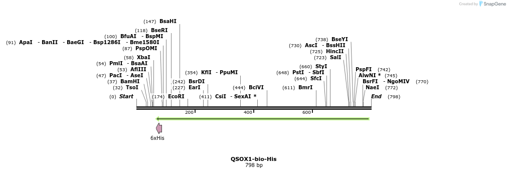 94863_map