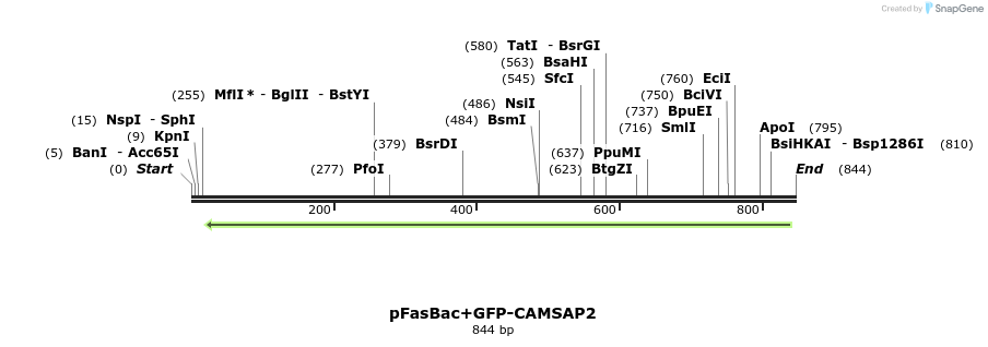 94881_map