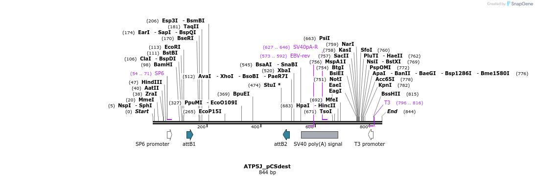 94882_map