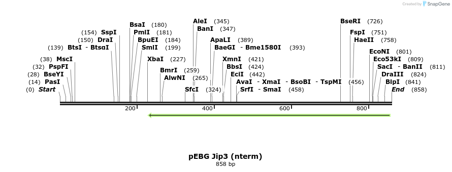 94893_map