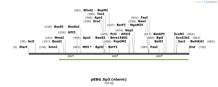 94894_map