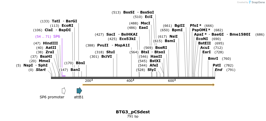 94901_map