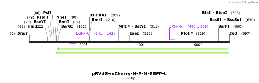 94910_map