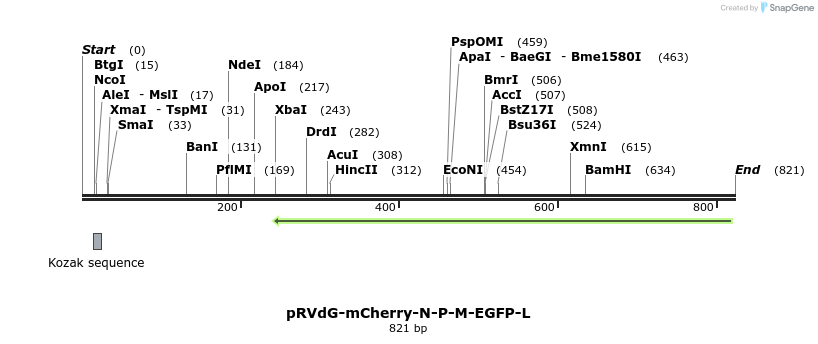 94915_map