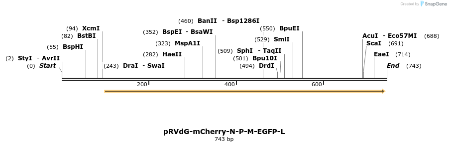 94917_map