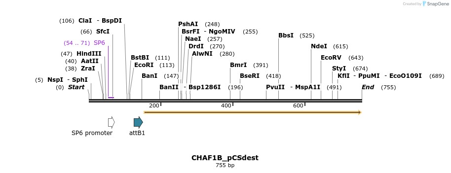 94918_map