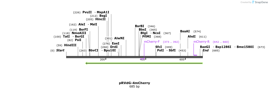 94921_map