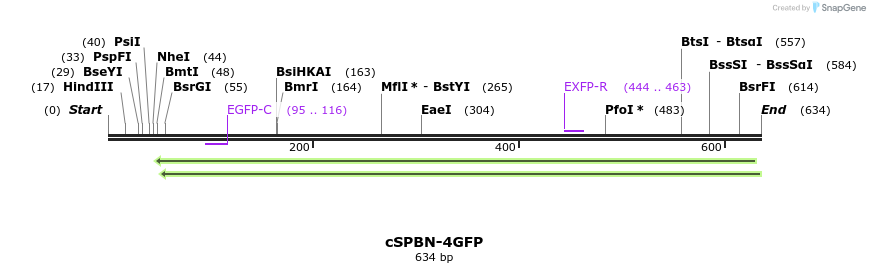 94928_map