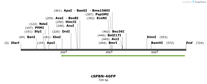 94936_map