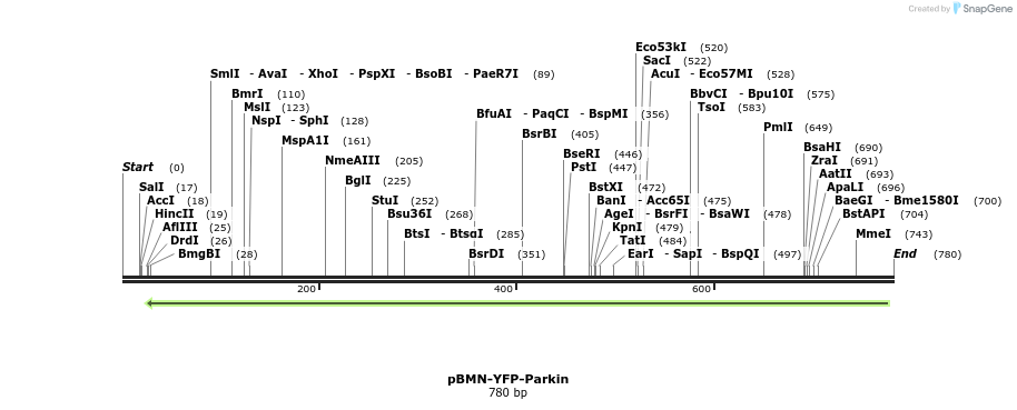 94940_map