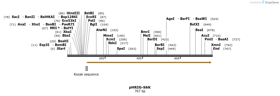 94941_map