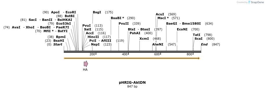 94943_map
