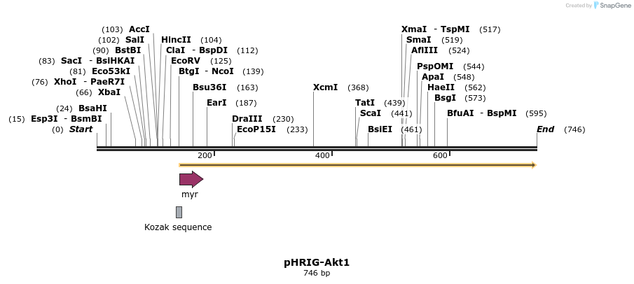 94946_map