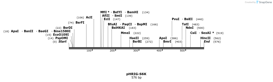 94947_map