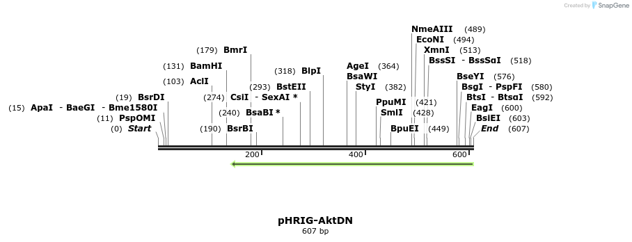 94959_map