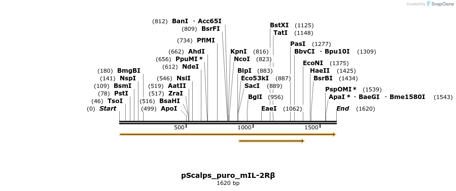 94963_map