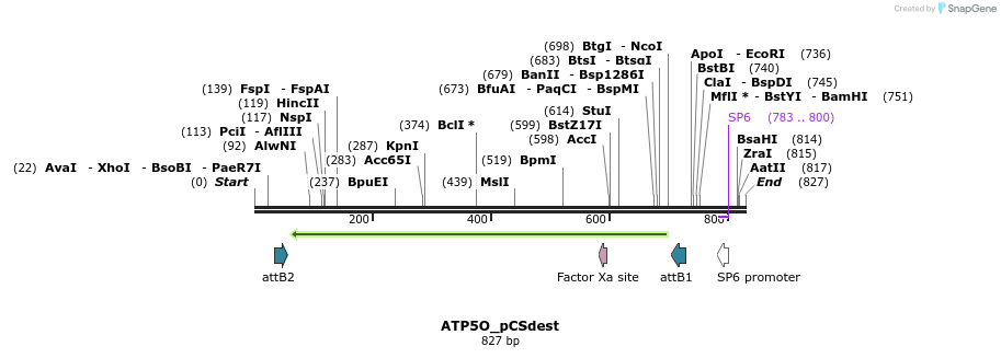 94964_map